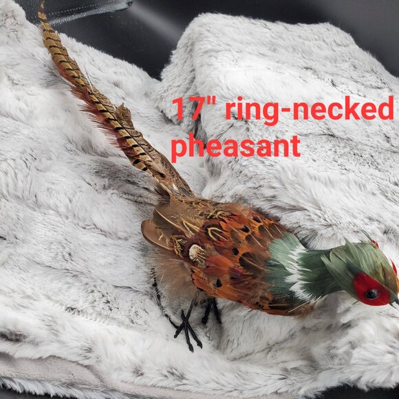 Set of 4 Feathery Bird Holiday Ornament Decorations - Picture 5 of 6